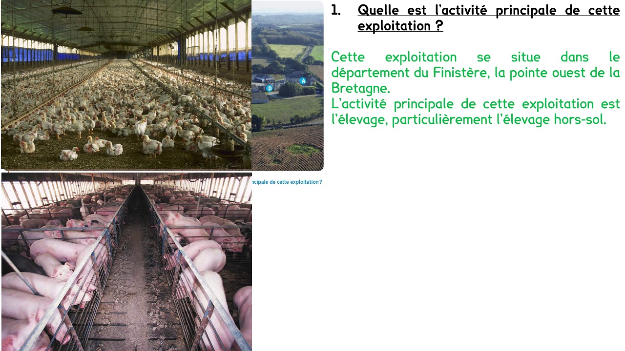 3G2 -  FA2 - Le modèle agricole breton, un modèle productiviste