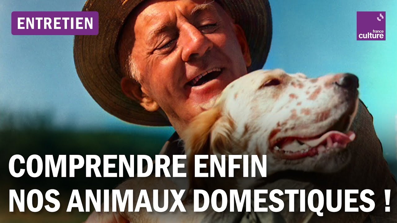 Et si nous nous mettions dans la peau des animaux de compagnie ?