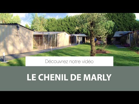 Pension canine et féline en Bretagne (35) - Chenil de Marly
