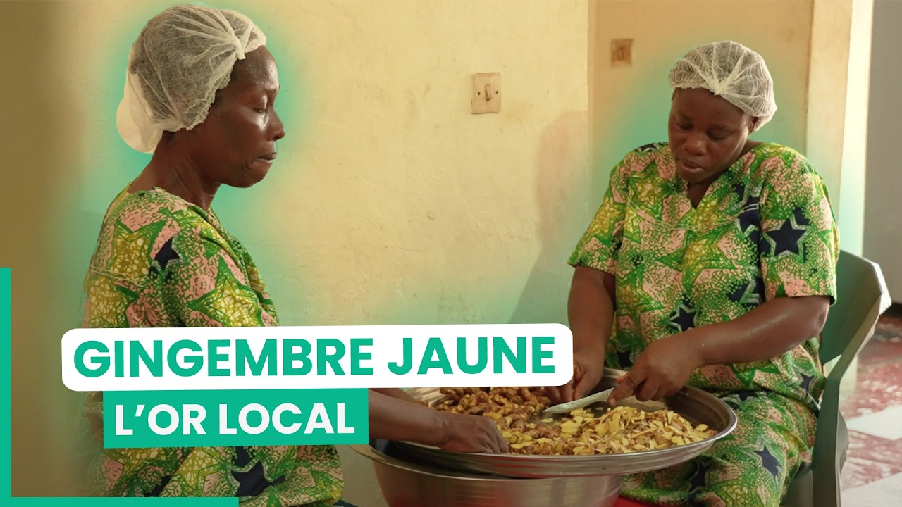 Côte d'Ivoire : ils raffolent des bienfaits du gingembre  | 750GTV