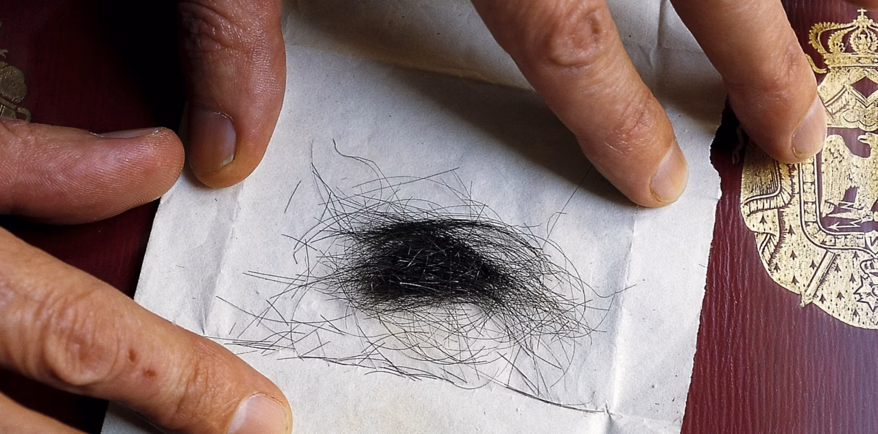 Cheveux fragilisés après l&rsquo;été : découvrez le sérum miracle qui répare immédiatement pointes et longueurs