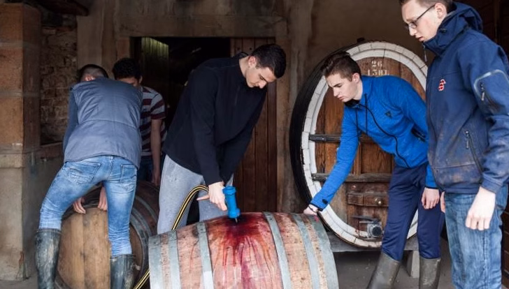 Le lambig : la reconnaissance officielle de cet alcool breton